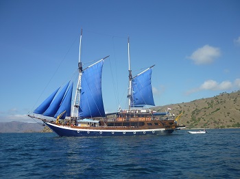 Komodo tour with deluxe boat is special offer for traveler